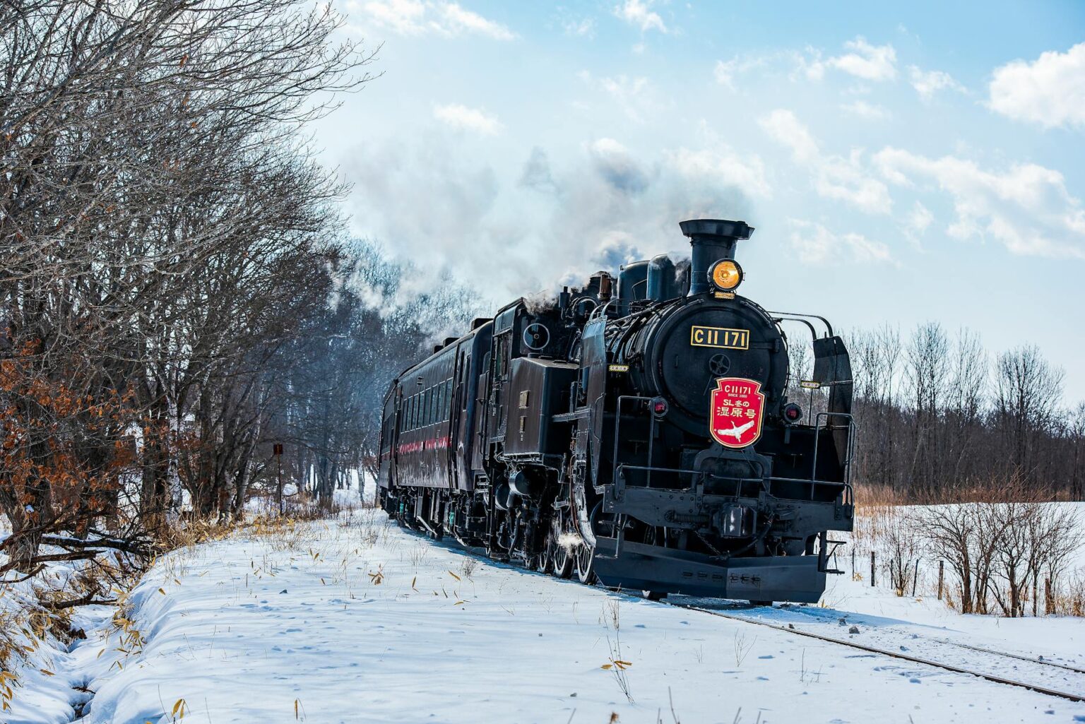 Seasonal Train Travel in Japan Best Times to Visit