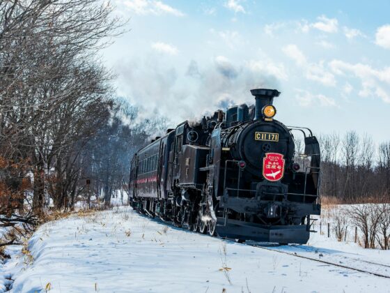 seasonal train travel japan
