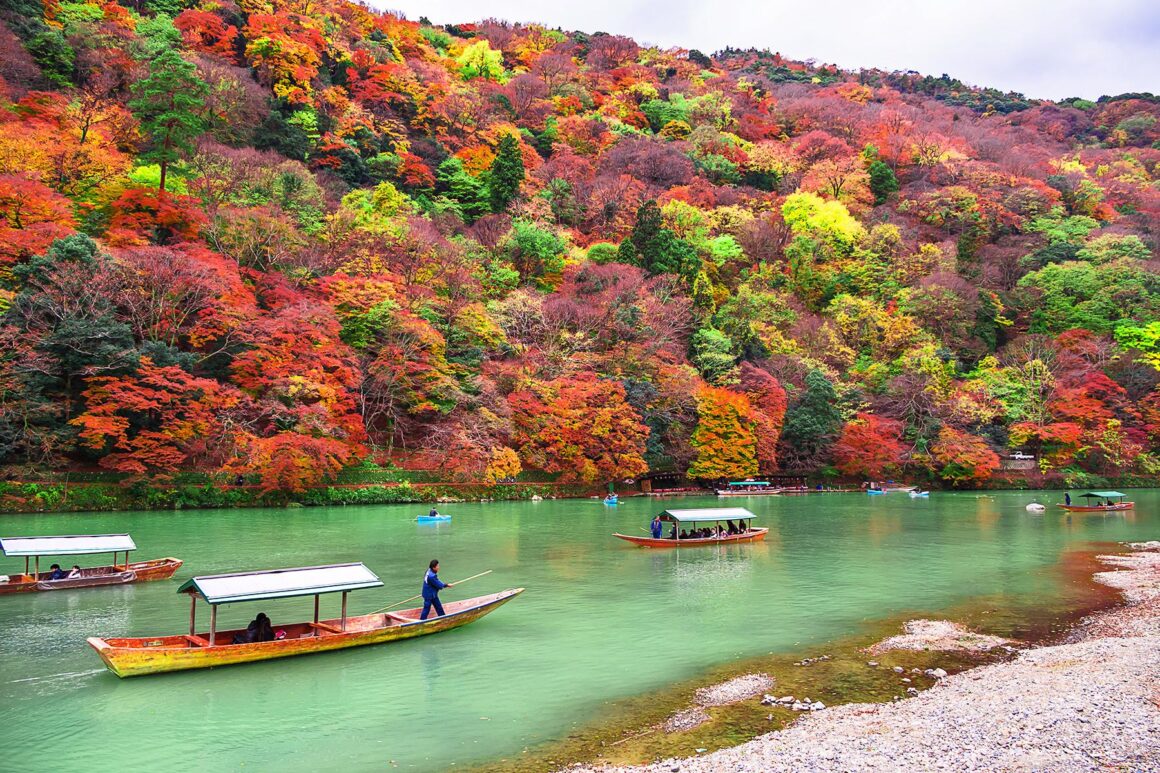 Fall Foliage Japan