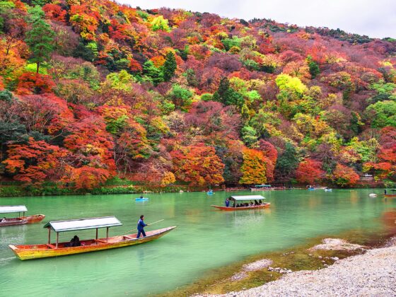 Fall Foliage Japan