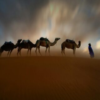 train travel in morocco