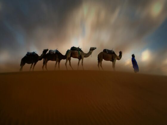 train travel in morocco