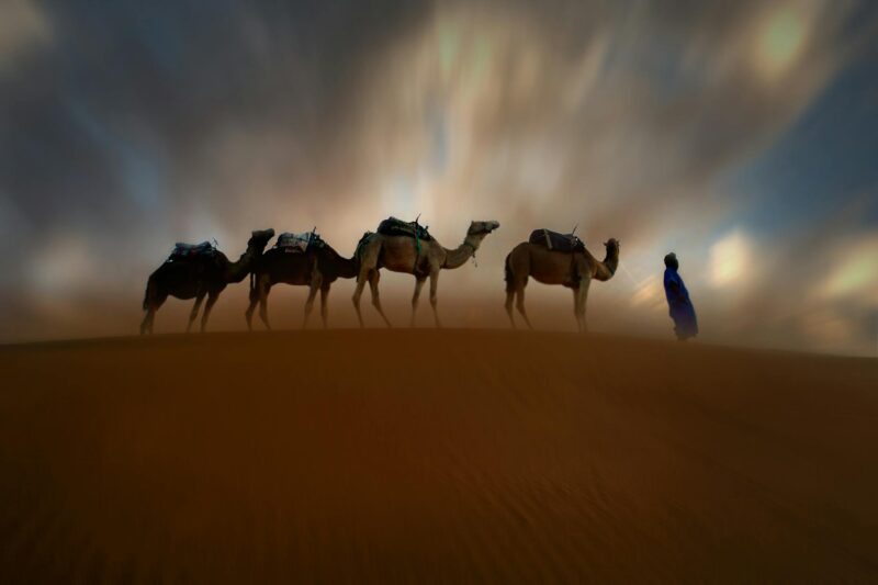 train travel in morocco