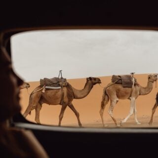 morocco train journey planner