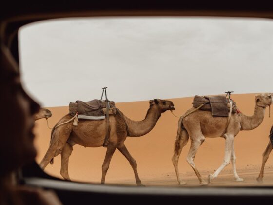 morocco train journey planner