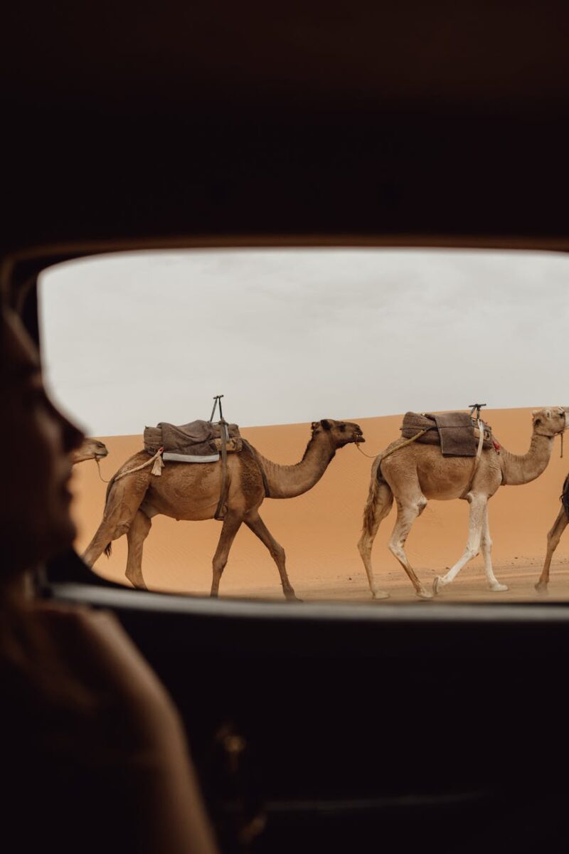 morocco train journey planner