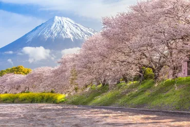 Hiroshima a Shizuoka