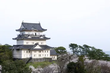 Toyohashi para Odawara