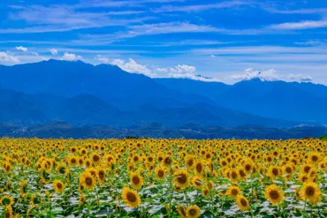 Сендай до Хокуту