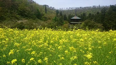 Kaminoyama to Takahata