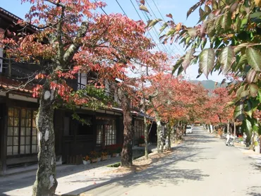 Kaminoyama to Shinjo