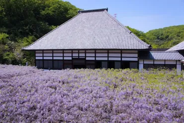 Ueda a Honjo