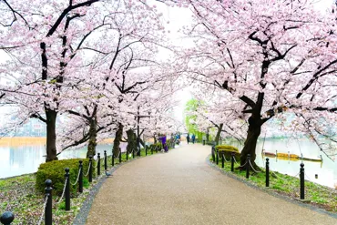 Kaminoyama to Ueno
