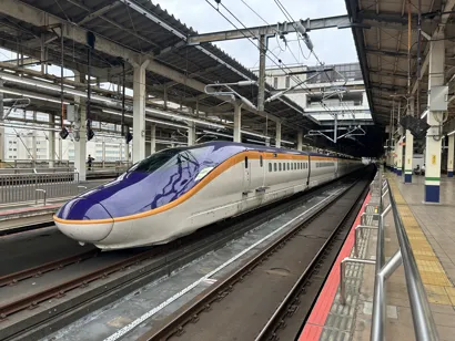 https://railmonsters.com/storage/cms_train_type_page/photos/0/1/436/1436/tsubasa3_230.jpg