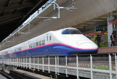 https://railmonsters.com/storage/cms_train_type_page/photos/0/1/474/1474/nasuno-all_584.jpg