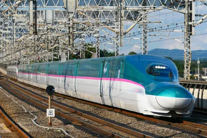 https://railmonsters.com/storage/cms_train_type_page/photos/0/1/516/1516/haya-3_327.jpg
