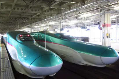 https://railmonsters.com/storage/cms_train_type_page/photos/0/1/519/1519/haya1_473.jpg
