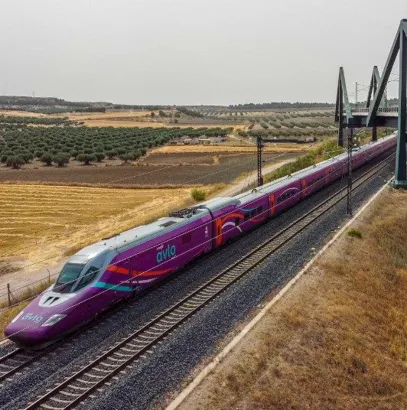 https://railmonsters.com/storage/cms_train_type_page/photos/0/1/606/1606/avlo4_727.jpeg