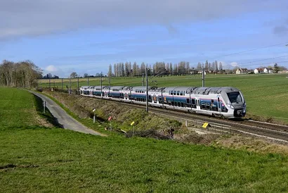 https://railmonsters.com/storage/cms_train_type_page/photos/0/2/309/2309/nomad1_221.jpg