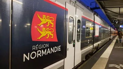 https://railmonsters.com/storage/cms_train_type_page/photos/0/2/310/2310/nomad2_37.jpg