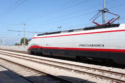 https://railmonsters.com/storage/cms_train_type_page/photos/0/2/339/2339/frecciabianca_498.jpg