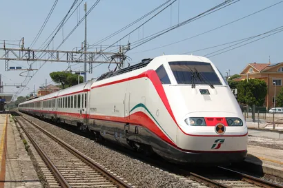 https://railmonsters.com/storage/cms_train_type_page/photos/0/2/340/2340/frecciabianca1_274.jpeg