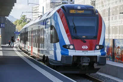 https://railmonsters.com/storage/cms_train_type_page/photos/0/2/358/2358/leman-express4_986.jpg