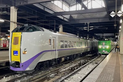 https://railmonsters.com/storage/cms_train_type_page/photos/0/3/40/3040/hokuto3_550.jpeg