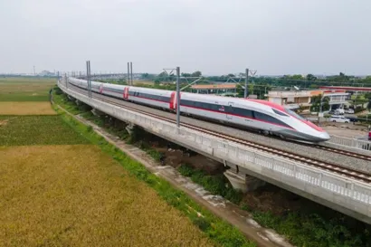 https://railmonsters.com/storage/cms_train_type_page/photos/0/36/352/36352/whoosh4_467.jpg