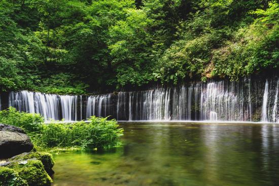 혼조에서 카루이자와