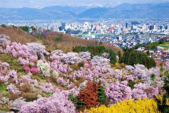从栗原到福岛