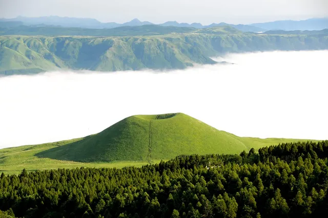 Kumamoto