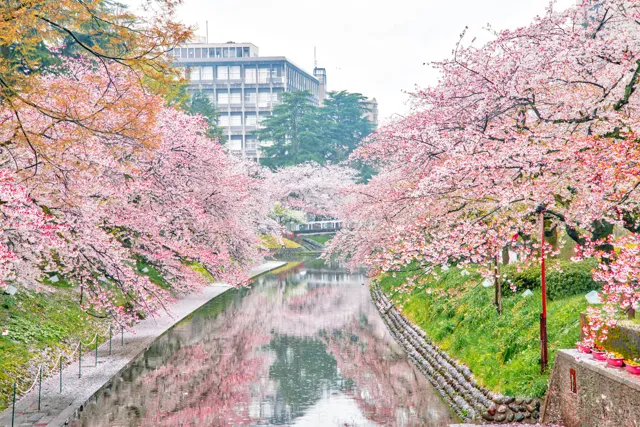 Shin-Takaoka