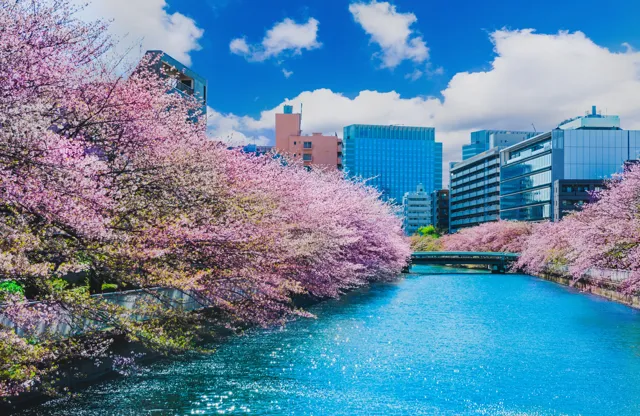 Aomori