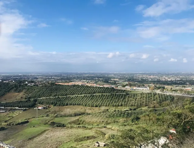 Pinhal Novo