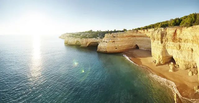 Faro