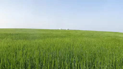 Sidi El Aidi