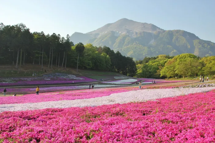 Tokyo à Saitama