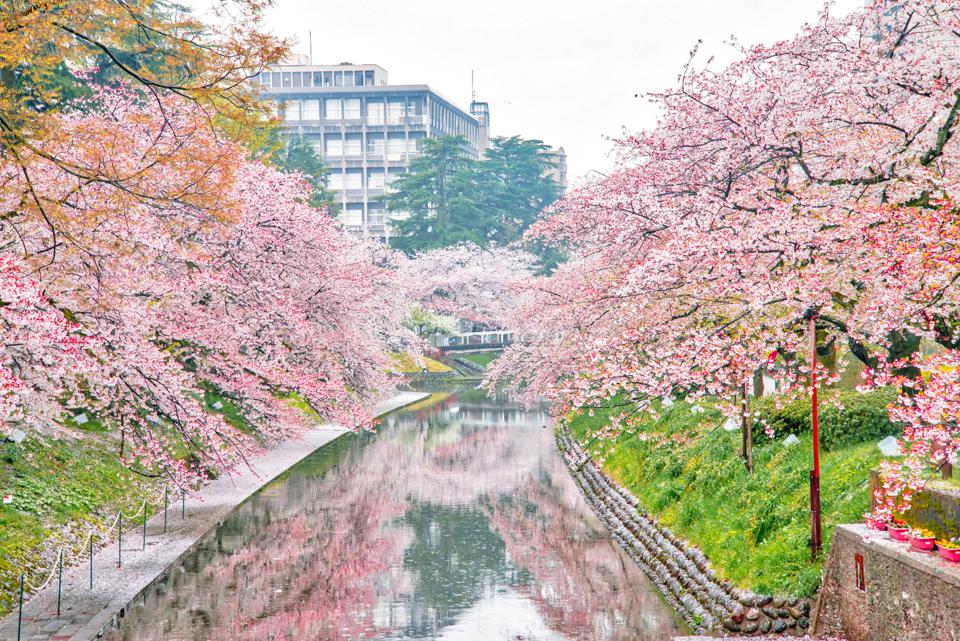 Shin-Takaoka