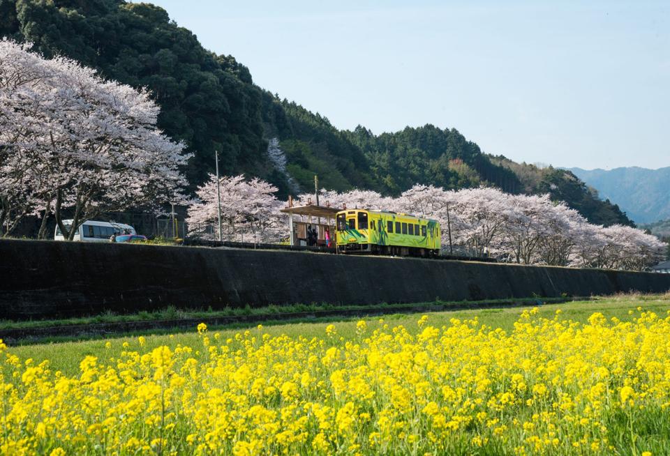 Shunan