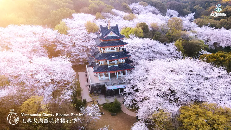 Wuxi Wuxi