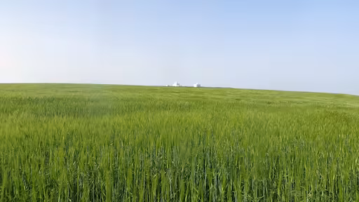 Sidi El Aidi